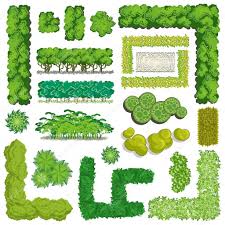 Pin By Ahmed Elkhodary On Landscape Trees Top View Garden Design Unique Trees