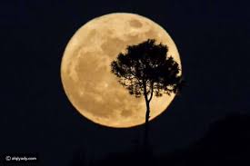 أجمل صور القمر العملاق ظاهرة نادرة لم تحدث منذ 7 عقود Super Moon Supermoon 2016 Sun And Stars