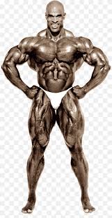 Police departments don't include anabolic/androgenic steroids in their drug tests, though an officer suspected of steroid use can be tested and terminated. Ronnie Coleman Png Images Pngwing