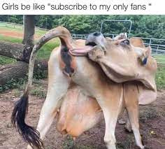 We did not find results for: Only Fans Memes Posts Facebook