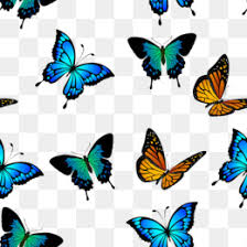 Butterfly cartoon butterfly hand drawn butterfly cartoon. Butterfly Png Free Download Monarch Butterfly