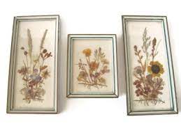 Vintage Framed Pressed Flowers Made In East Germany By Photospast 20 00