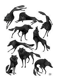 Check spelling or type a new query. Sarah Lisa Hleb On Twitter If You Re Wondering Huh Haven T I Seen These Wolfes Already Last Year You Re Absolutely Right If Not The Little Story Behind Them Is That I Watched The