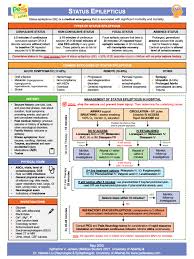 Image result for Status Epilepticus