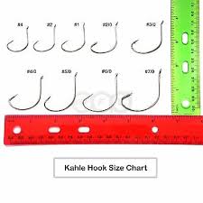 50pcs Fishing 2x Strong Kahle Hooks Nickel Size 4 2 1 2 0 3 0 4 0 6 0 5 0 7 0 Ebay