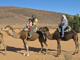 Some people say they are interesting and educational. Camel Riding