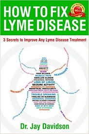 Unlocking lyme is the sum of dr. Lyme Connection Support And Resources Publications