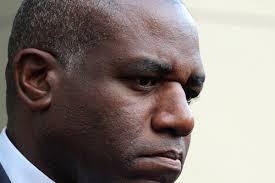 Image result for Dark Brown 2025 Fleet