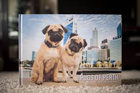 *free shipping* to the united states and australia! Review Pugs Of Perth Coffee Table Book The Pug Diary
