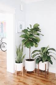 There S Nothing Quite Like An Indoor Plant For Turning A House Into A Home Bringing Life Energy And A Mid Century Modern Planter Plant Decor Wood Plant Stand
