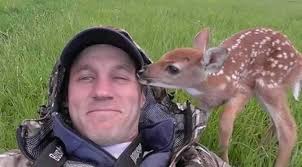 Scary sign from Australia with crotalus photo