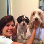 The woof of Wall Street