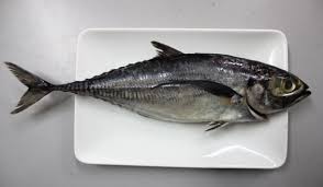 Ikan yang dibenarkan makan dan tidak gatal adalah seperti: 5 Jenis Ikan Patut Dielakkan Bagi Penderita Ekzema Gerd Wanita Berpantang Penyebab Gatal Angin Mingguan Wanita