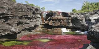 En nuestro portal te ofrecemos toda la información sobre la ubicación de caño cristales. Cano Cristales Kolumbien Reisen Informationsportal
