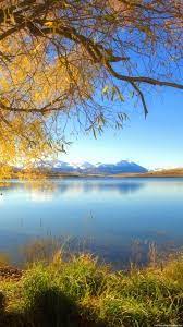 Free for commercial use no attribution required high quality images. Portrait Nature Wallpapers Wallpaper Cave