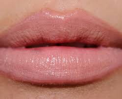 ever n40 rouge artist natural lipstick