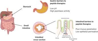 Aloe vera & coconut oil hair growth magic. Oral Delivery Of Peptide Therapeutics In Infants Challenges And Opportunities Sciencedirect