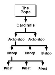 structure of the catholic church the australian catholic