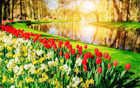 Kumpulan 20+ gambar pemandangan yang indah di indonesia. 7 Taman Bunga Terindah Di Dunia Inggris Miliki Daffodils