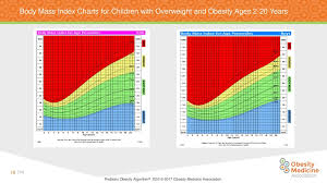 pediatric obesity algorithm ppt download