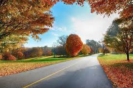 30 Nature Wallpapers Hd Full Hd 1080p 1920x1080 Nature Wallpaper Hd 1080p Free Download For Laptop Autumn Landscape Landscape Wallpaper Hd Nature Wallpapers