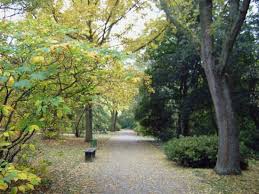 Der garten wurde zwischen 1946 und 1955. Botanischer Garten Mainz Herbst Bild Von Botanischer Garten Mainz Tripadvisor