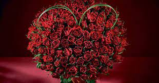 Maybe you would like to learn more about one of these? Morrisons Launch 25 Bouquet Of 100 Red Roses To Rival Lidl This Valentine S Day Mirror Online
