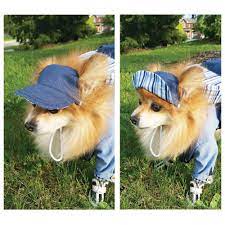 Pin On Dog Sun Visors