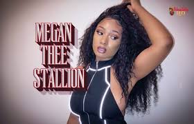 Origin megan thee stallion is an american rapper, dancer and model from houston, texas. Megan Thee Stallion Net Worth Age Height Wealthy Leo