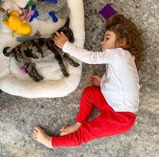 Video que fue reportado en masa desde forocoches, y que fue. Christina Perri Shares Emotional Update With Fans About Pregnancy Loss The Worst Experience Of My Life Celebritytalker Com