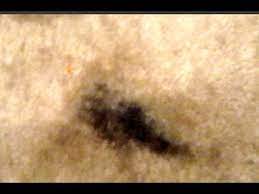 Using an eye dropper, apply a few drops of hydrogen peroxide on the stain. Getting Black Eyeshadow Out Of White Carpet Youtube