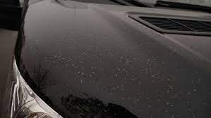 Wieder trübt wüstenstaub den himmel über stuttgart. Wetterphanomen In Baden Wurttemberg Saharastaub Rieselt Auf Stuttgarts Autos Herab Stuttgart Stuttgarter Nachrichten