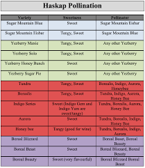 Below are cross pollination charts for apples, pears, sweet cherries and japanese plums. Permaculture Fruit And Perennial Veggies Vankampen S Greenhouses