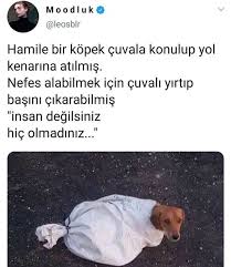 Semanuryavuz Adli Kullanicinin Parcalandim Panosundaki Pin 2020 Ilham Veren Alintilar Guzel Soz Alintilar
