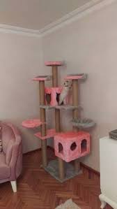 Kedi Tirmalama Ve Oyun Evi 0507 664 22 22 Icin 46 Fikir Kedi Oyun Evleri Evler