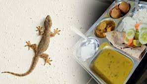 Horrible: Engineering Students Enraged After Lizard, Scorpion Discovered In Hostel Food | Odisha