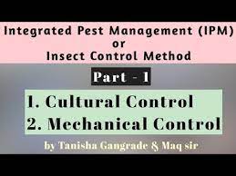 We have thousands of species. Integrated Pest Management Part 1 Ipm Cultural Control Method Mechanical Control Method Youtube