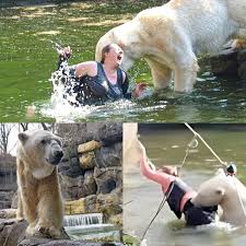 Dani - 🔥📰 H.0.R.R.0.R AT BERLIN ZOO! A 32-Year-Old Woman Jumps Into Polar Bear Enclosure — Seconds Later, Chaos Erupts as the Beast Attacks 😱🐻‍❄️ | Facebook