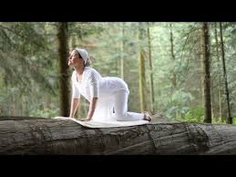 Yoga Video Short And Sweet Kriya To Get Your Energy Moving Youtube Pranayama Yoga Bhakti Yoga Kundalini Yoga