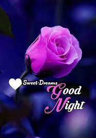 200 Good Night Beautiful Pictures For You Good Night Beautiful Images For Love Good Night Flowers Good Night Beautiful Good Night Qoutes