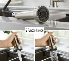 We did not find results for: Kitchen Sink Faucet Replacement Parts Pull Down Faucet Replacement Head 2 Function Mode Kitchen Faucet Sprayer Head G1 2 Pull Out Kitchen Faucet Spray Head Replacement For Kitchen Tap Sprayer Replacement Kitchen