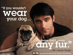 Peta's response to peta kills animals and the ccf. Peta Killed More Than 1 600 Cats And Dogs At Its Virginia Headquarters Last Year Almost 90 Of The Animals Handed Over To The Charity S American Shelter Daily Mail Online