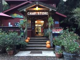 Riverside campground & cabins offer 45 sites for tents, rv's and 11 cabins along the big sur river on 16 acres surrounded by majestic redwoods. Budget Friendly And Dog Friendly Big Sur Big Sur Camping Big Sur Camping Aesthetic