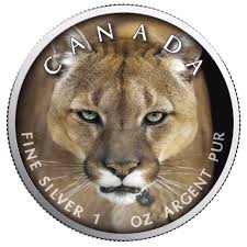 Vancouver island sowie das ganz. 5 Dollar Canada S Wildlife Puma Cougar Maple Leaf Farbe Farbig 1 Oz Silber Kanada 2019 Munzdachs
