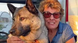 Keeping a large dog cool while camping