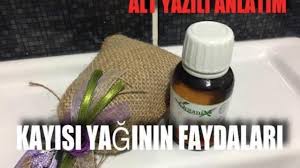 Kayisi Yaginin Faydalari Youtube Kayisi Yag