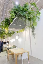 Plant Trends From Maison Et Objet 2017 In Paris In 2020 Plants Office Interior Design Green Interiors