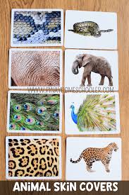 Animals Skin Covers Matching Cards Animal Coverings Animal Habitats Animal Skin