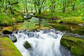 The top 6 award winning images in 2021. 12 Tips To Help You Capture Stunning Landscape Photos