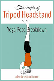 Dec 23, 2019 · sirsasana or the headstand is the king of all yoga poses. How To Do Tripod Headstand Benefits Yoga Pose Tutorial Adventure Yoga Online